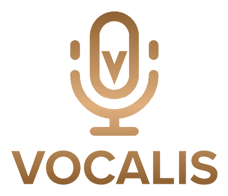 Assistant Vocal Pro Intelligence Artificielle & Chatbot Conversationnel | Vocalis IA logo